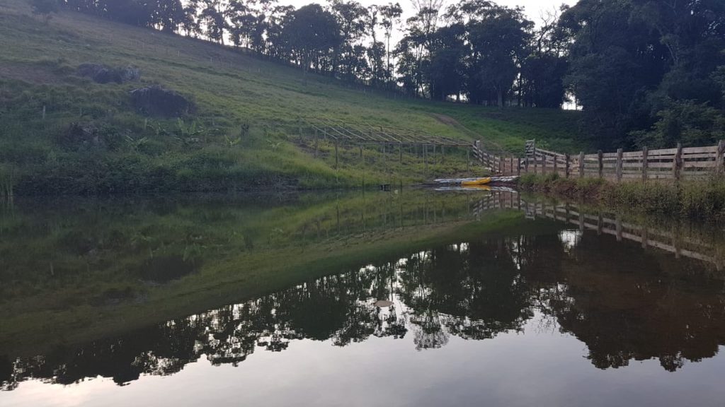 01D0F74E-FBDF-48B1-8381-F66FA36D93BD