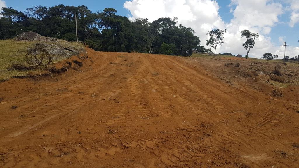 25588C5C-60E9-4BBB-B426-AFD10509700F