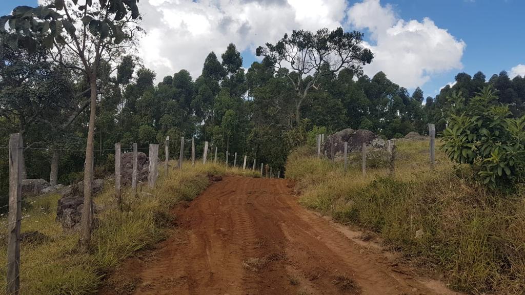 529BA6E2-65D4-4485-BBC9-3C2CDC0915B0