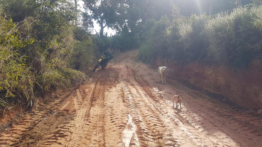 5DC9BE7F-8FDA-42E3-916B-6131CC33ECF4