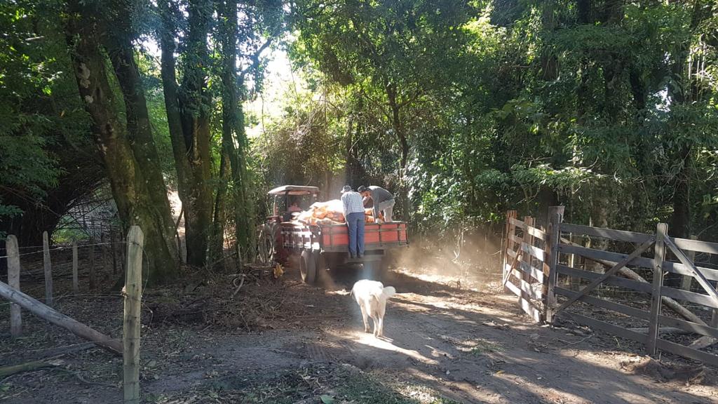 C81B416E-5C51-4F45-BDC7-5A8385AC4600