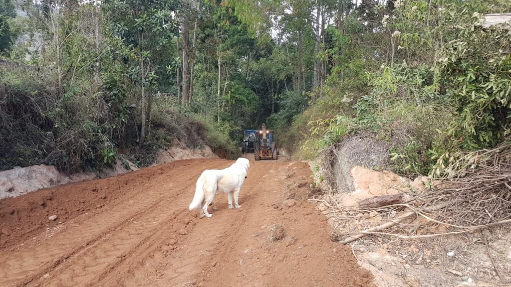 EC5BEDD5-7649-481F-AF4C-6817FB8377E3