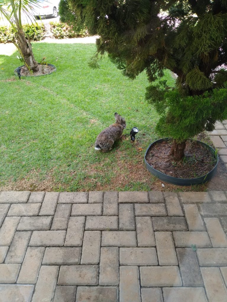 WhatsApp-Image-2021-05-01-at-20.28.15-3