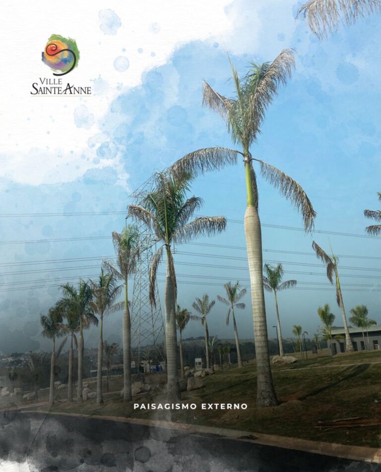 Paisagismo Externo