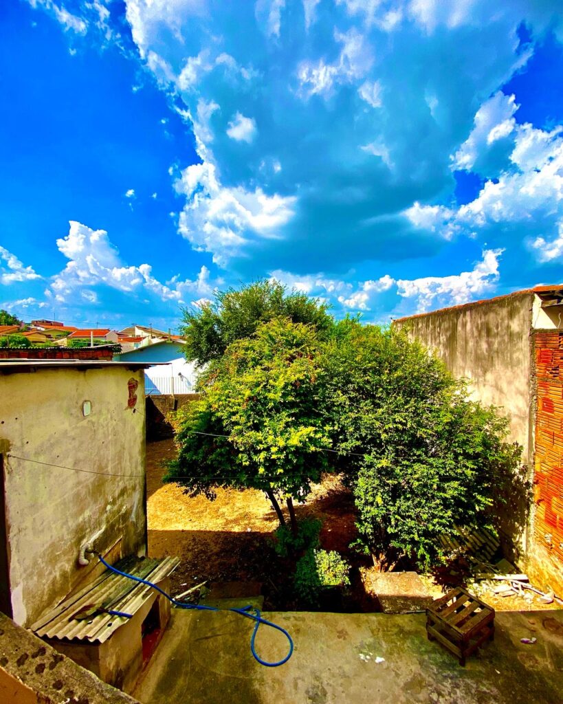 8F538D0D-C584-494D-9D6E-300D9B3FFD3B