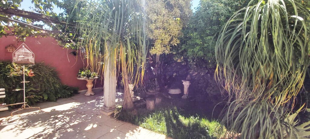 PHOTO-2022-06-02-19-05-19 2