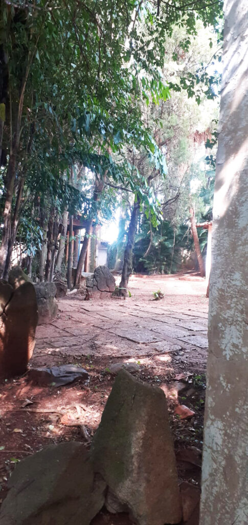 PHOTO-2022-06-02-20-05-04