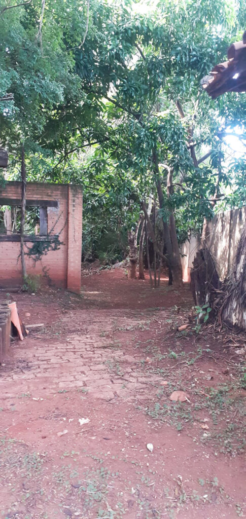 PHOTO-2022-06-02-20-06-12 2