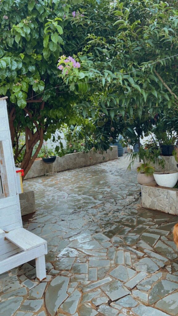 99a41438-d95a-4de1-a60a-1a94c19da112