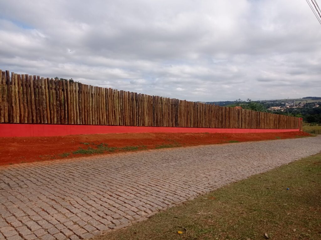 WhatsApp Image 2022-08-26 at 11.31.03 (3)