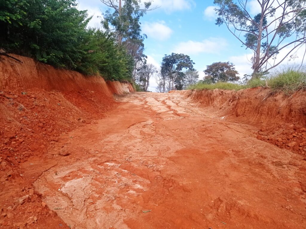 WhatsApp Image 2022-08-26 at 11.31.04