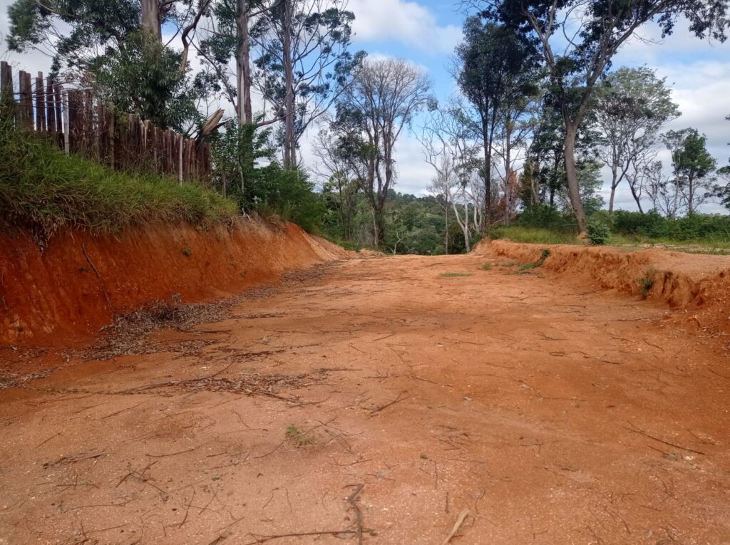 WhatsApp Image 2022-08-26 at 11.31.04 (3)