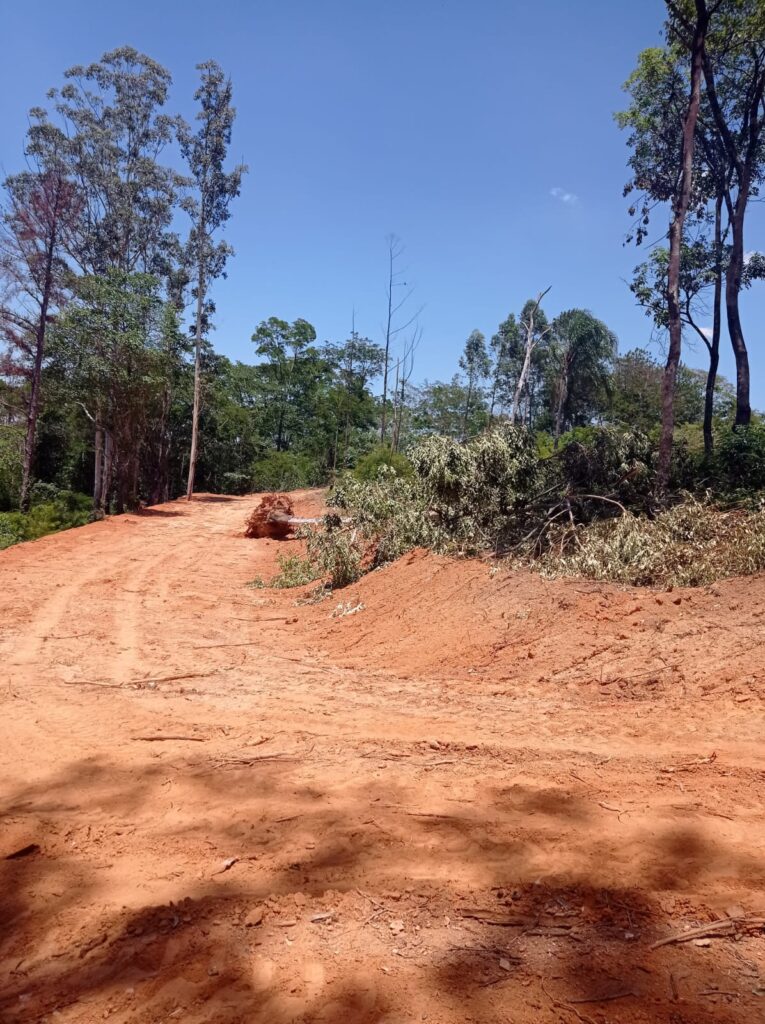 WhatsApp Image 2022-08-26 at 11.31.05 (1)