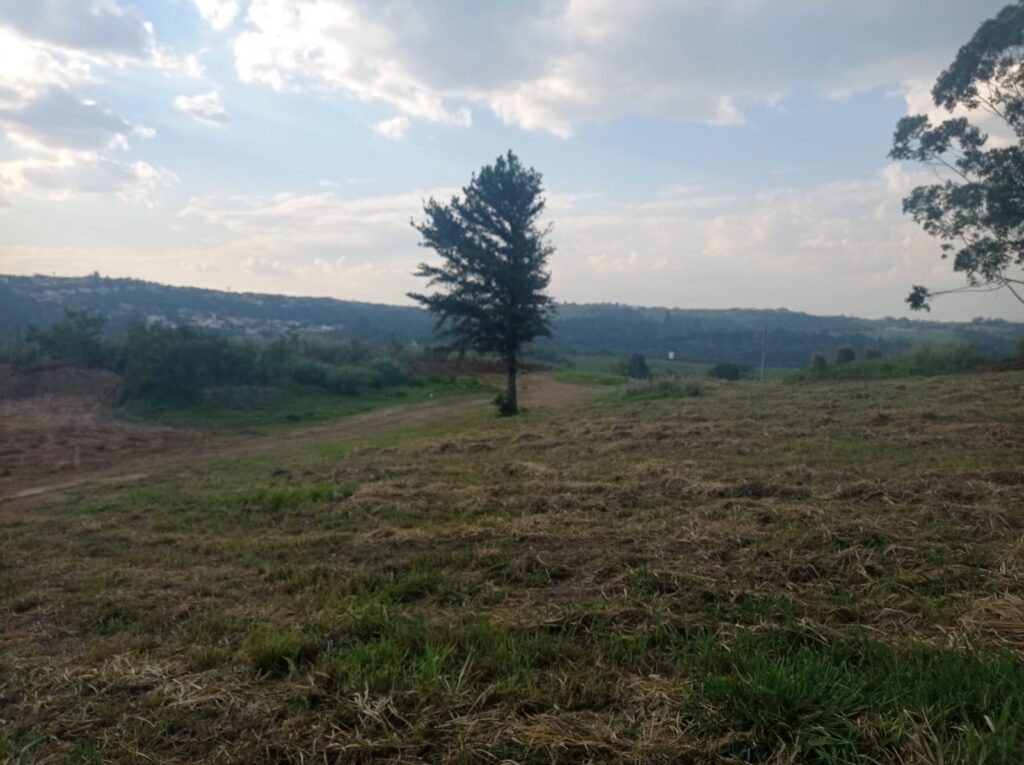 WhatsApp Image 2022-08-26 at 11.31.06 (1)