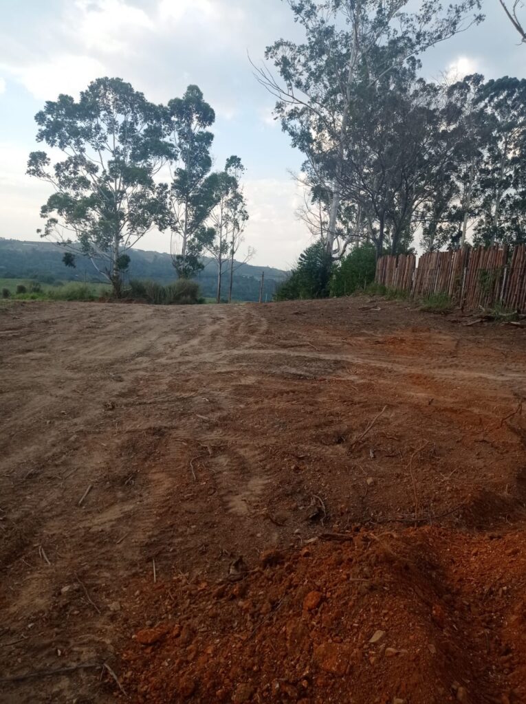 WhatsApp Image 2022-08-26 at 11.31.06 (2)