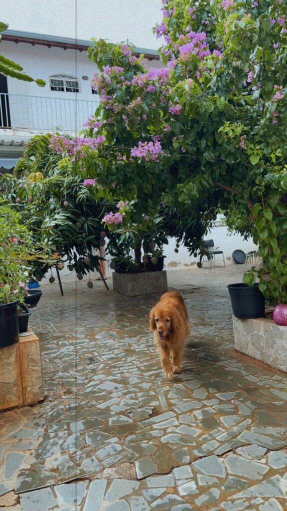 eb6ebdd6-8bed-494b-887c-9a73b771ddc6