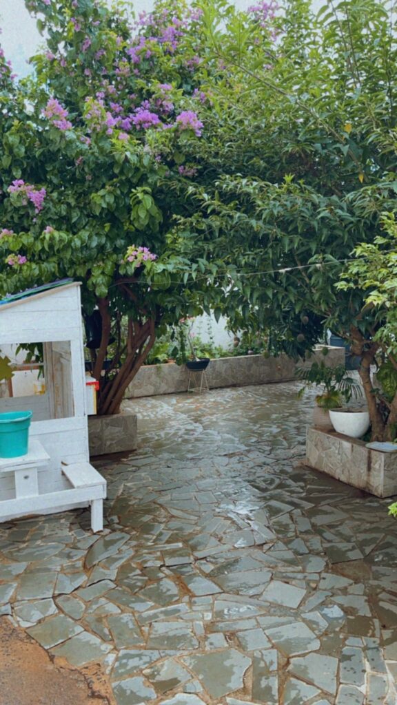 f05013d1-1540-4357-aecc-0b70d47cbe9a