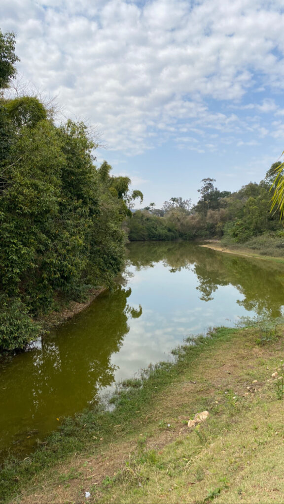 46343F68-03AC-4622-8674-7A60C8FEE92B