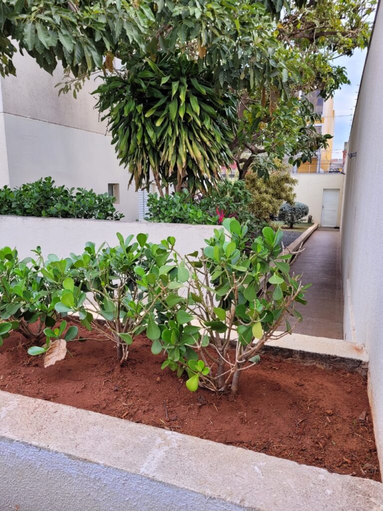 WhatsApp Image 2022-09-05 at 13.48.19 (1)