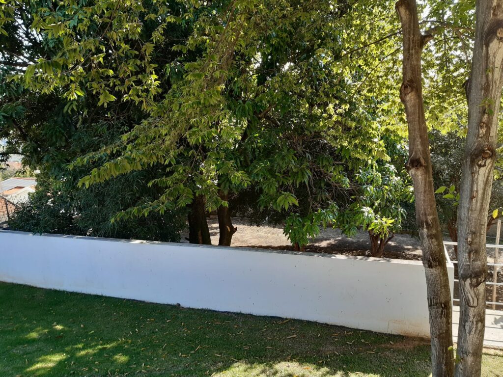 WhatsApp Image 2022-10-03 at 13.09.23 (1)