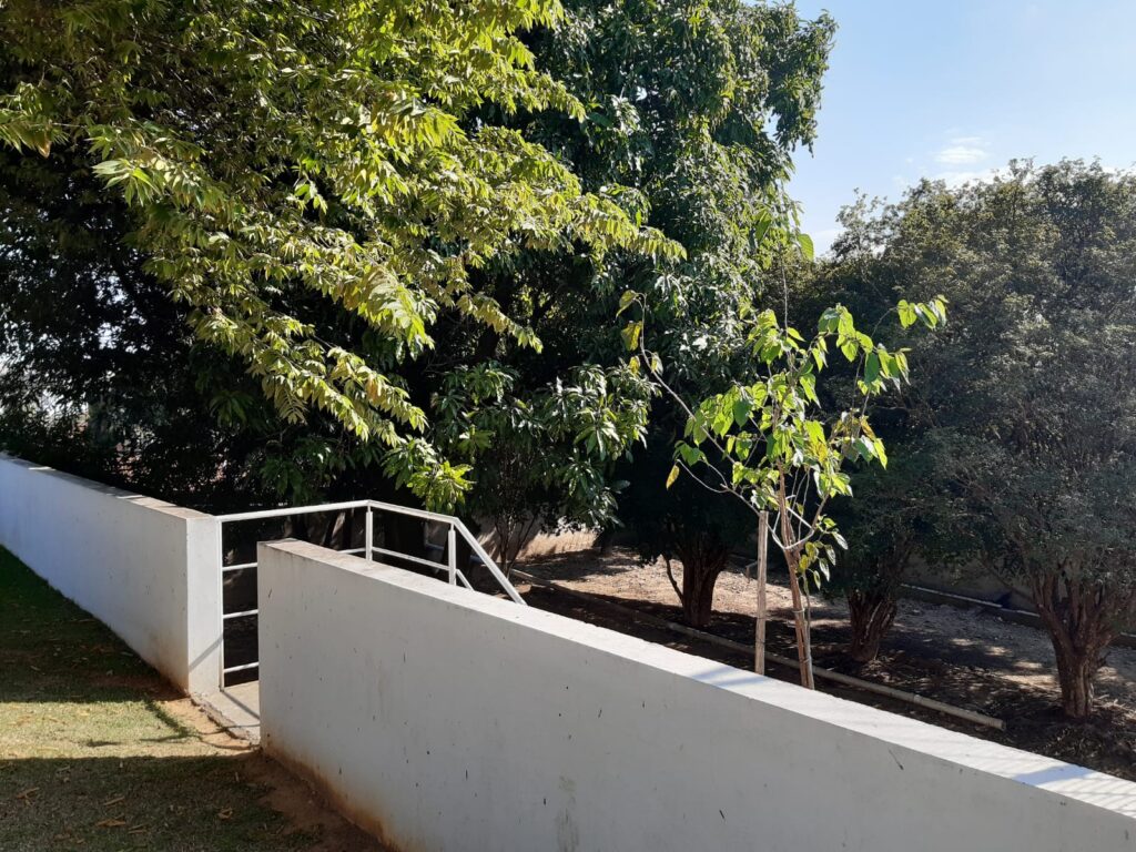 WhatsApp Image 2022-10-03 at 13.09.23