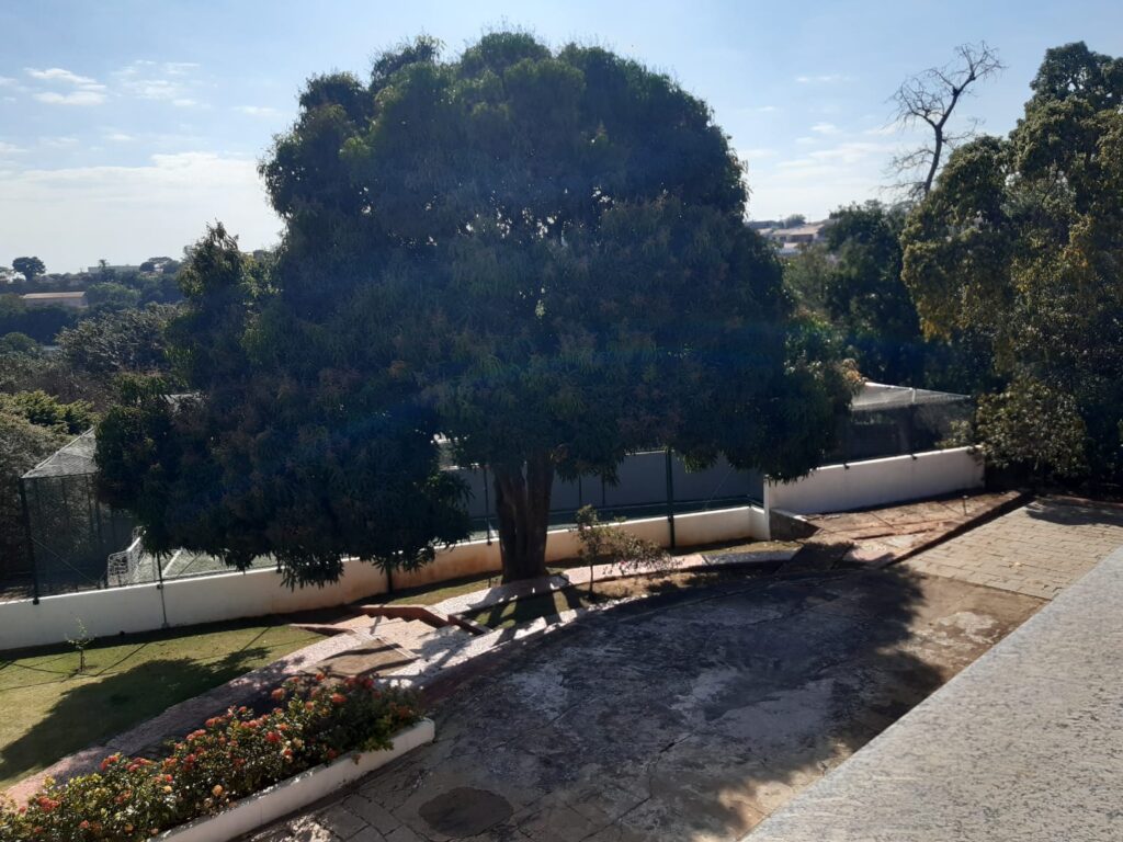 WhatsApp Image 2022-10-03 at 13.09.31 (2)