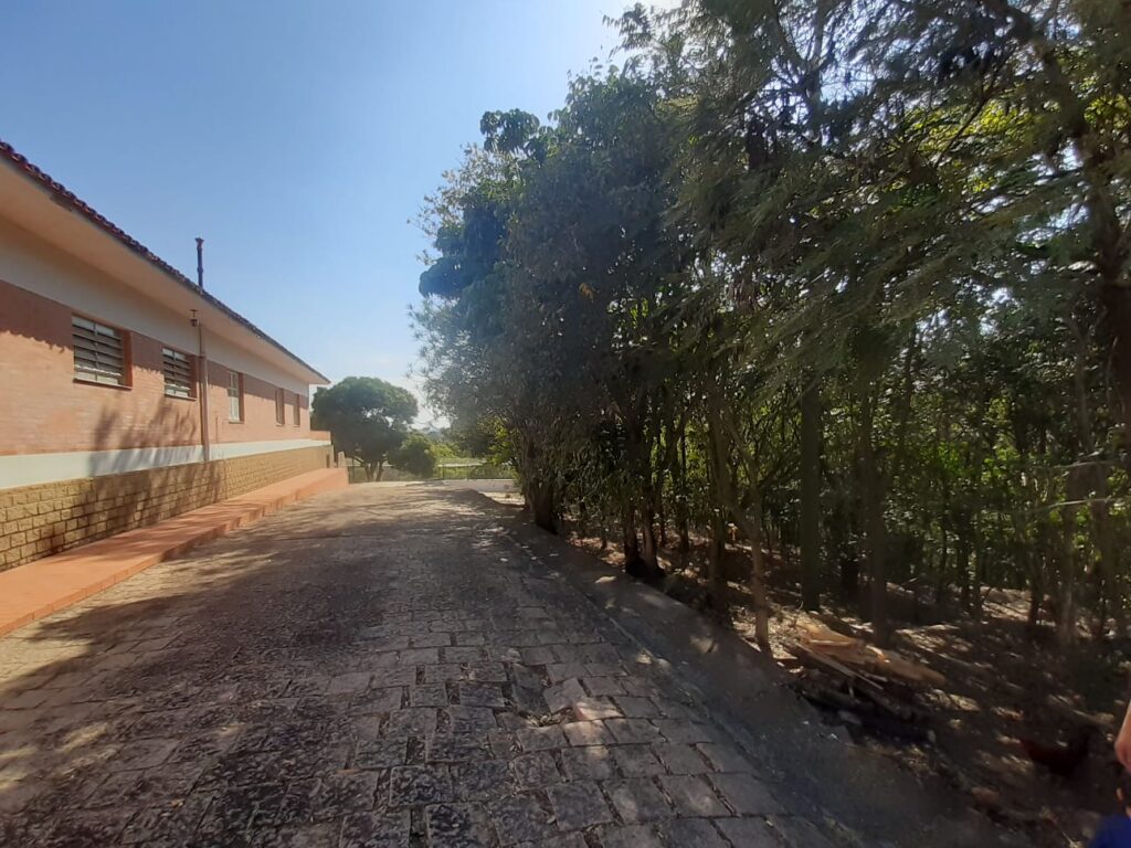 WhatsApp Image 2022-10-03 at 13.09.33 (3)