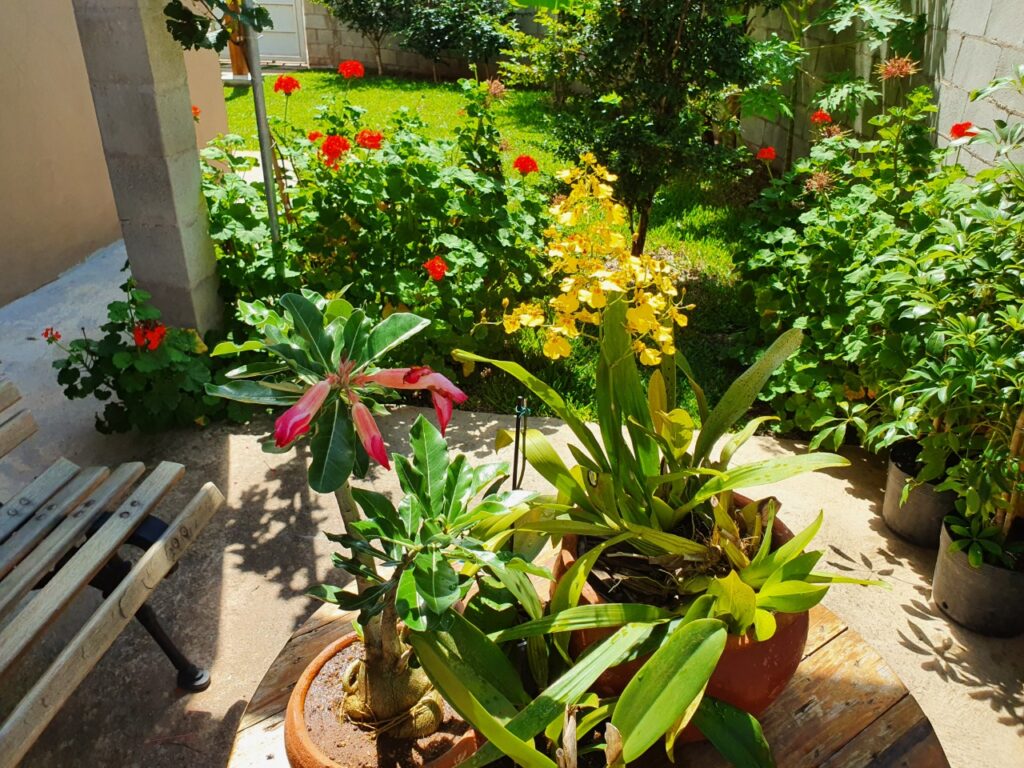 WhatsApp Image 2022-10-19 at 10.11.22 (2)