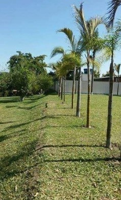 Captura de tela 2023-01-13 142959