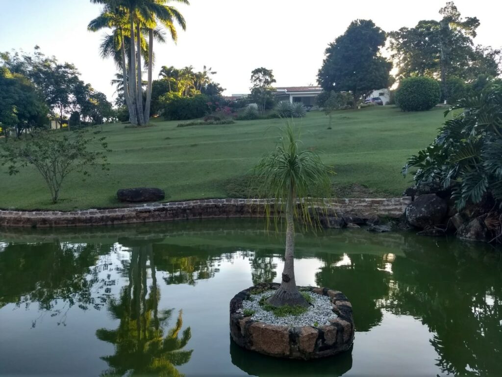 WhatsApp Image 2023-02-28 at 16.49.32 (1)