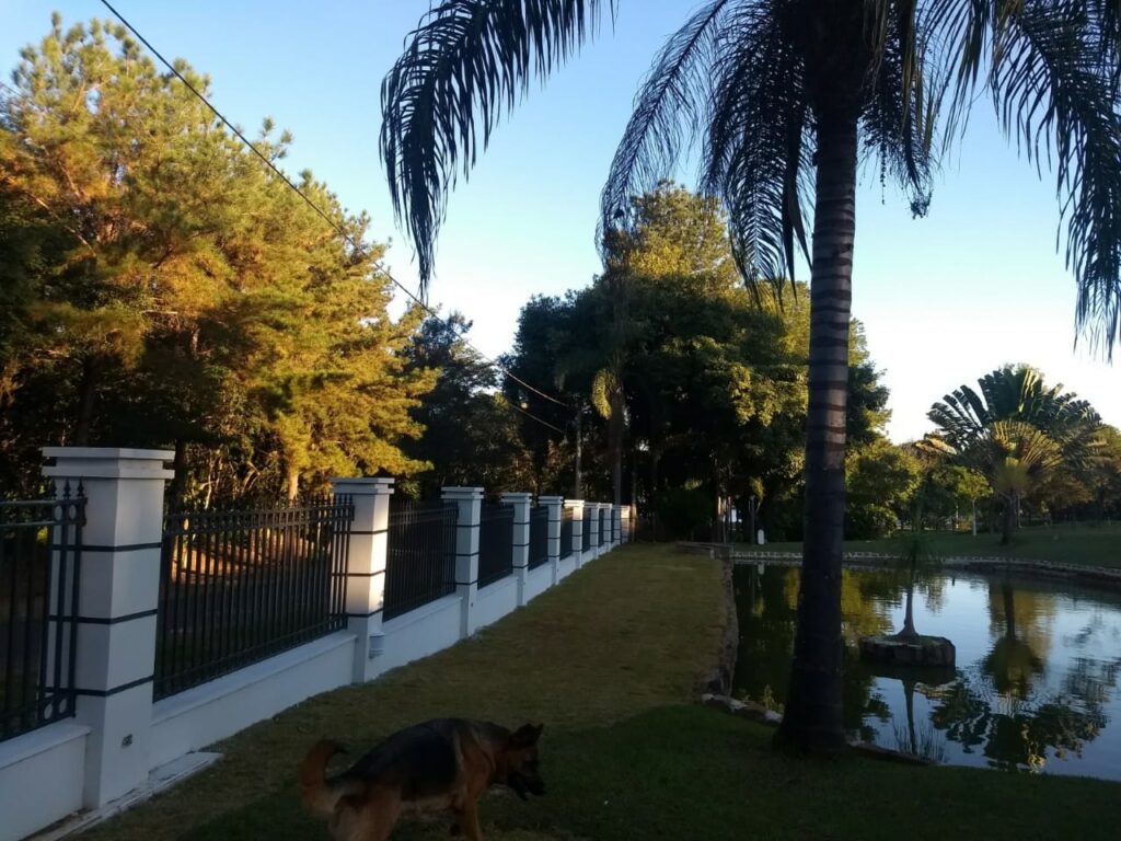 WhatsApp Image 2023-02-28 at 16.49.35