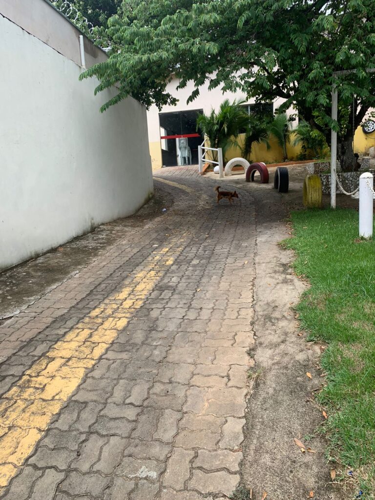 WhatsApp Image 2023-03-15 at 17.42.57 (4)