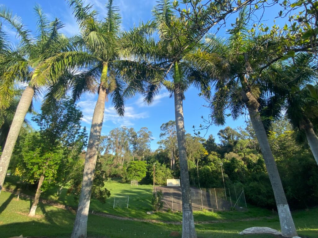 324233033_861888461806573_1425612511346551650_n