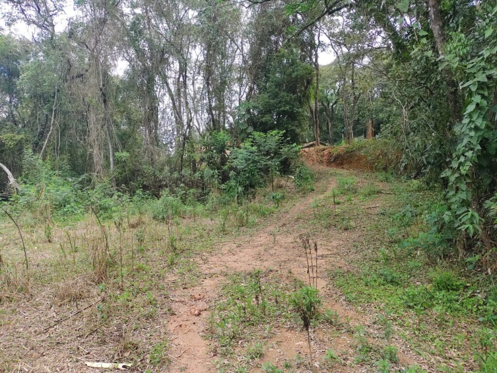 WhatsApp Image 2023-06-28 at 12.10.12 (1)