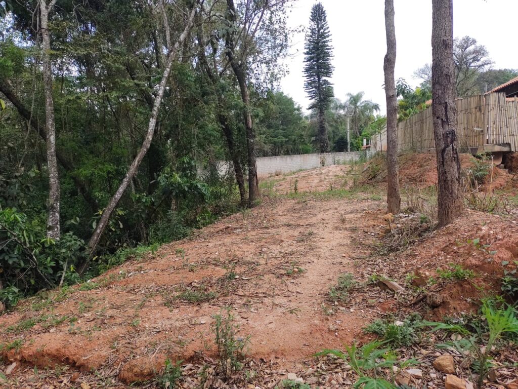 WhatsApp Image 2023-06-28 at 12.10.12