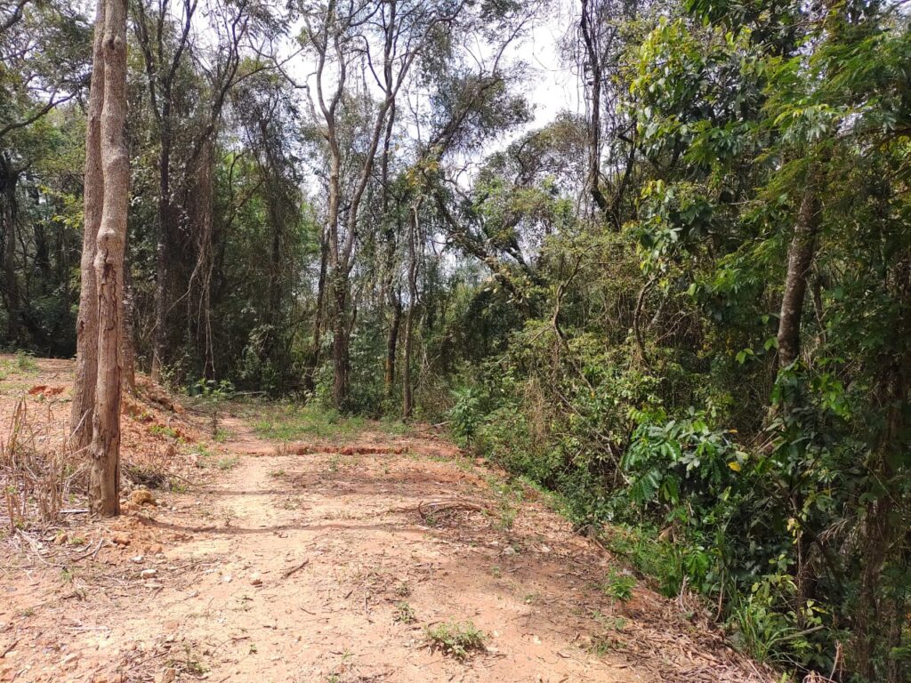 WhatsApp Image 2023-06-28 at 12.10.12 (2)