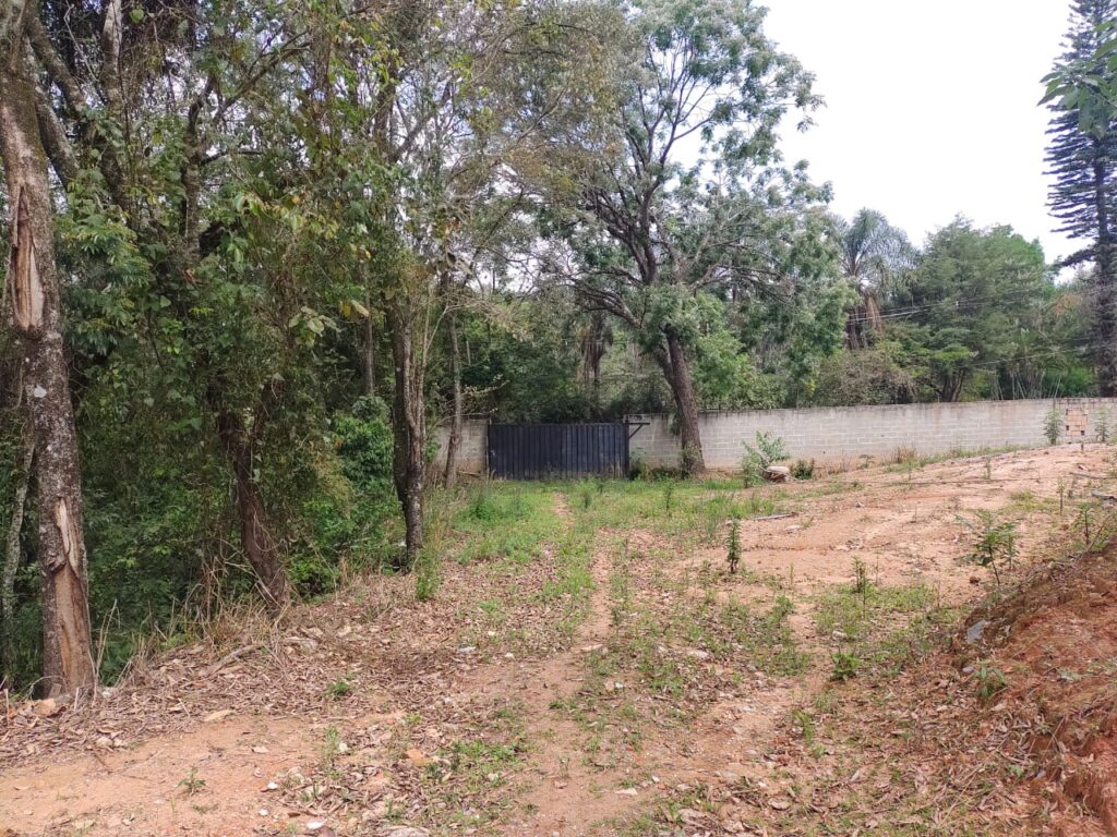 WhatsApp Image 2023-06-28 at 12.10.14