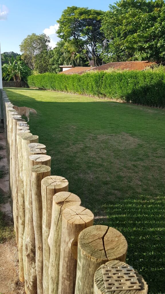 8ddcf631-3403-4377-8700-8f21899646bc