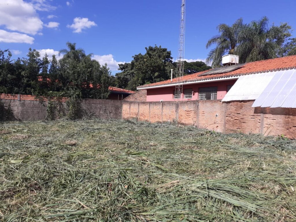 WhatsApp Image 2023-08-09 at 15.13.14 (1)