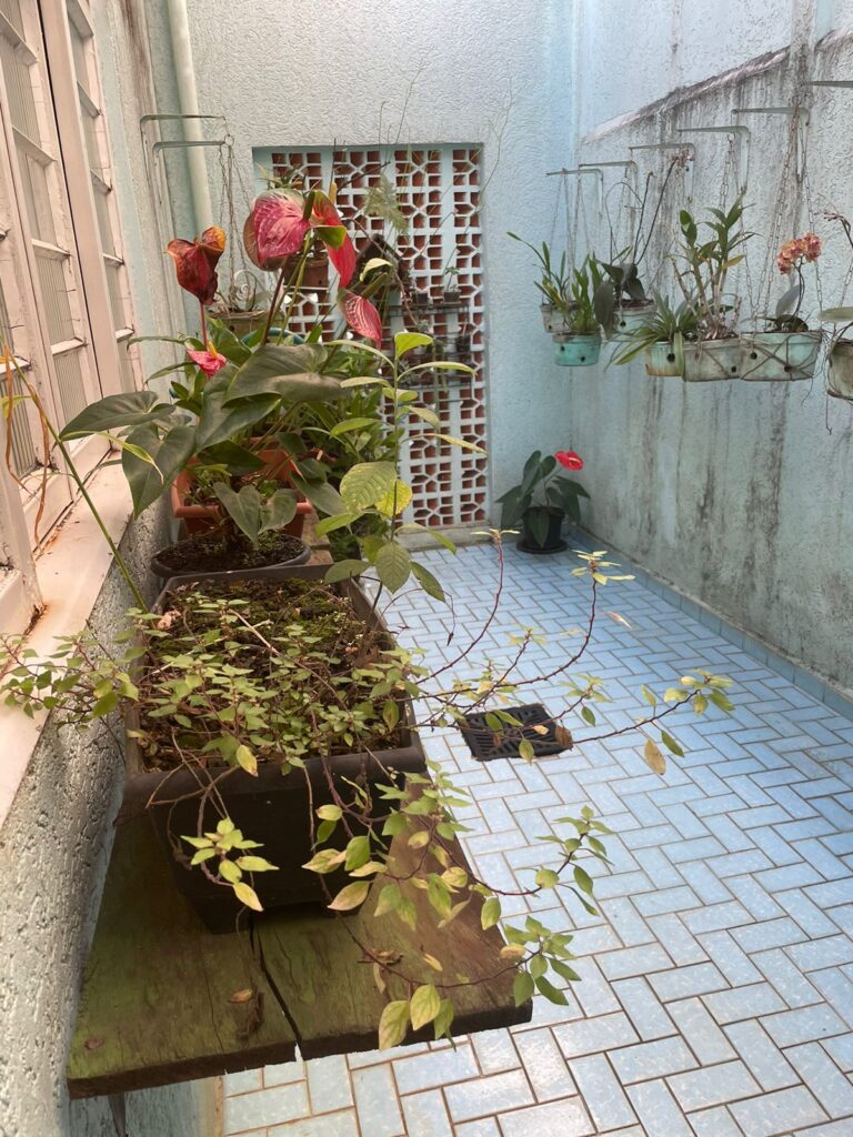 WhatsApp Image 2023-09-03 at 15.07.04 (2)