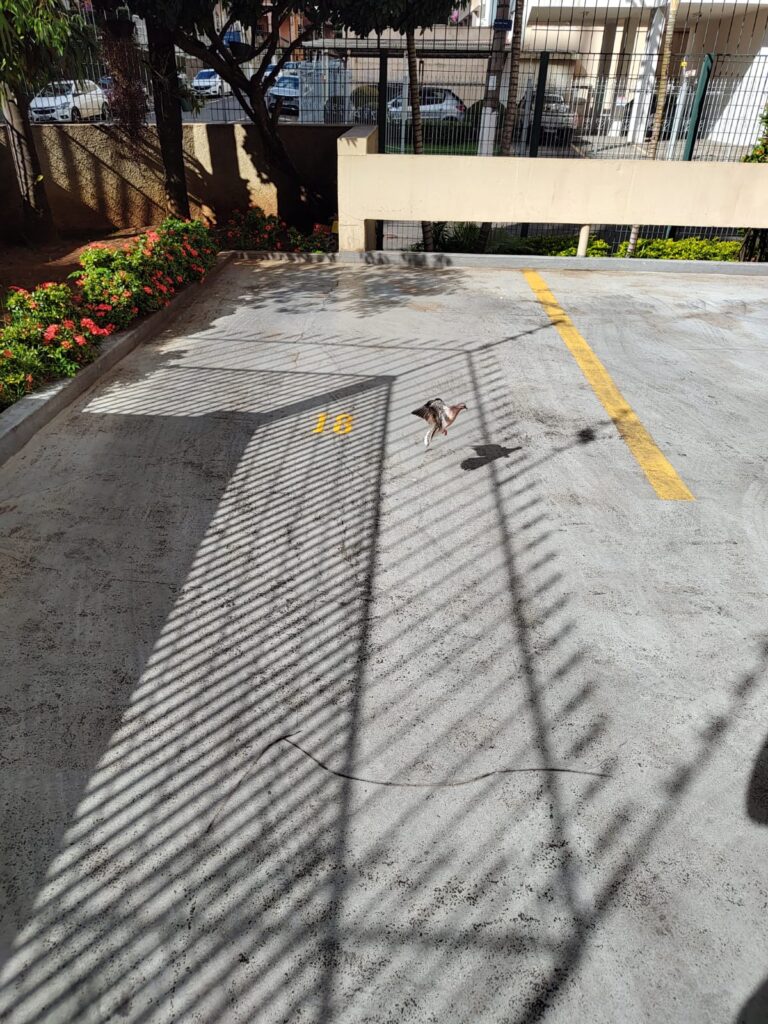 WhatsApp Image 2024-03-14 at 19.08.16