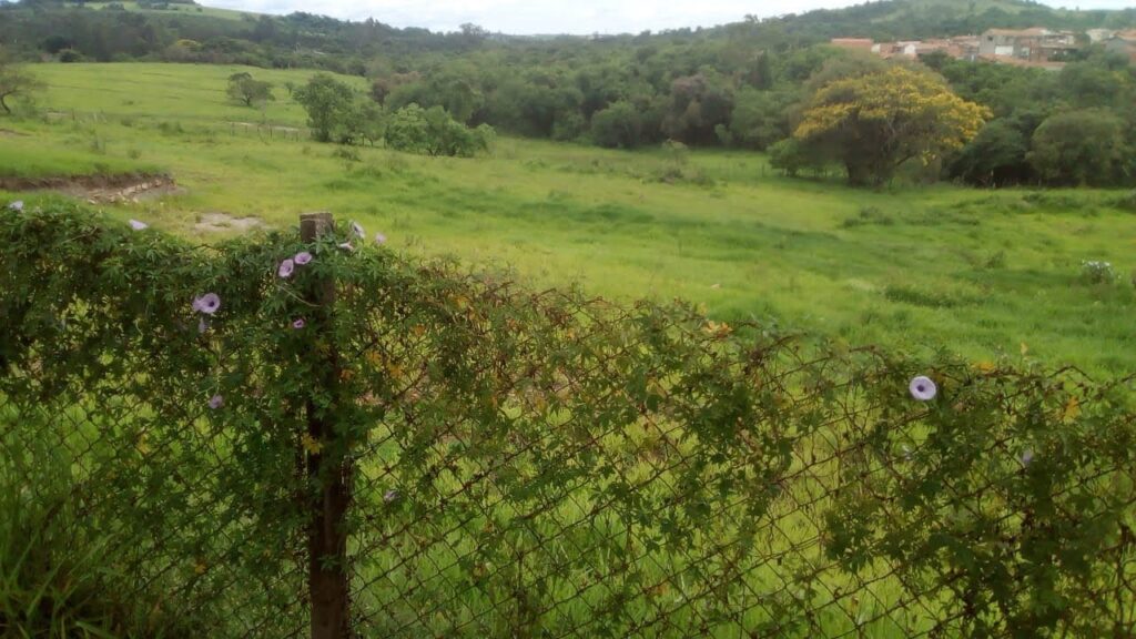 WhatsApp Image 2024-04-11 at 19.13.45 (1)