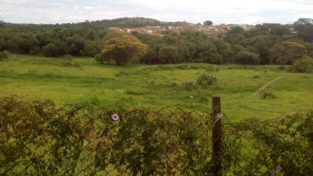 WhatsApp Image 2024-04-11 at 19.13.45