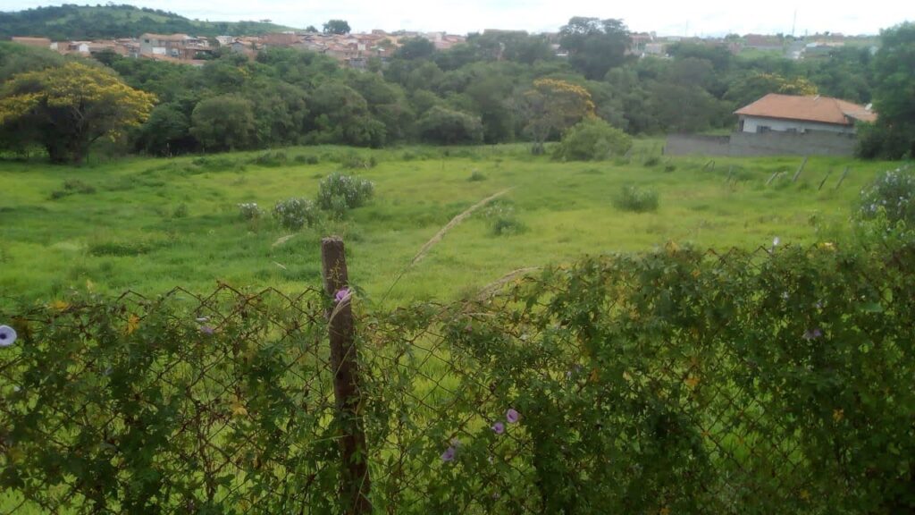 WhatsApp Image 2024-04-11 at 19.13.45 (2)