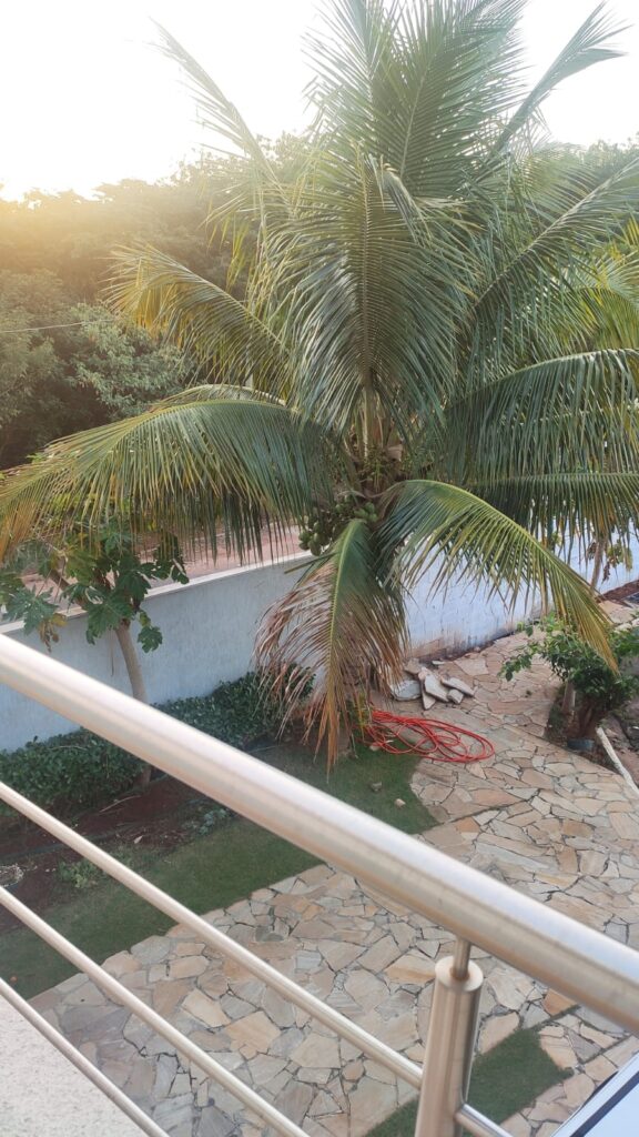 WhatsApp Image 2024-06-15 at 06.54.43