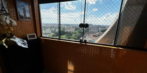 PHOTO-2026-01-31-11-56-13