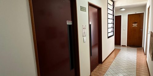 PHOTO-2026-01-31-11-56-30